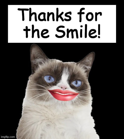 Thanks for 
the Smile! | made w/ Imgflip meme maker