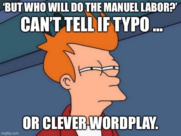 Futurama Fry | ‘BUT WHO WILL DO THE MANUEL LABOR?’; CAN’T TELL IF TYPO …; OR CLEVER WORDPLAY. | image tagged in memes,futurama fry | made w/ Imgflip meme maker