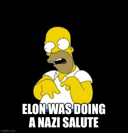 Oh look at me! I do tiktok | ELON WAS DOING A NAZI SALUTE | image tagged in oh look at me i do tiktok | made w/ Imgflip meme maker