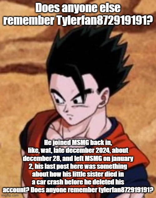 Does anyone else remember Tylerfan872919191? He joined MSMG back in, like, wat, late december 2024, about december 28, and left MSMG on january 2, his last post here was something about how his little sister died in a car crash before he deleted his account? Does anyone remember tylerfan872919191? | made w/ Imgflip meme maker