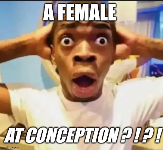 Surprised Black Guy | A FEMALE AT CONCEPTION ? ! ? ! | image tagged in surprised black guy | made w/ Imgflip meme maker