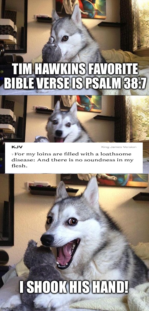 You guys remember this Tim Hawkins joke | TIM HAWKINS FAVORITE BIBLE VERSE IS PSALM 38:7; I SHOOK HIS HAND! | image tagged in memes,bad pun dog,jokes,funny | made w/ Imgflip meme maker