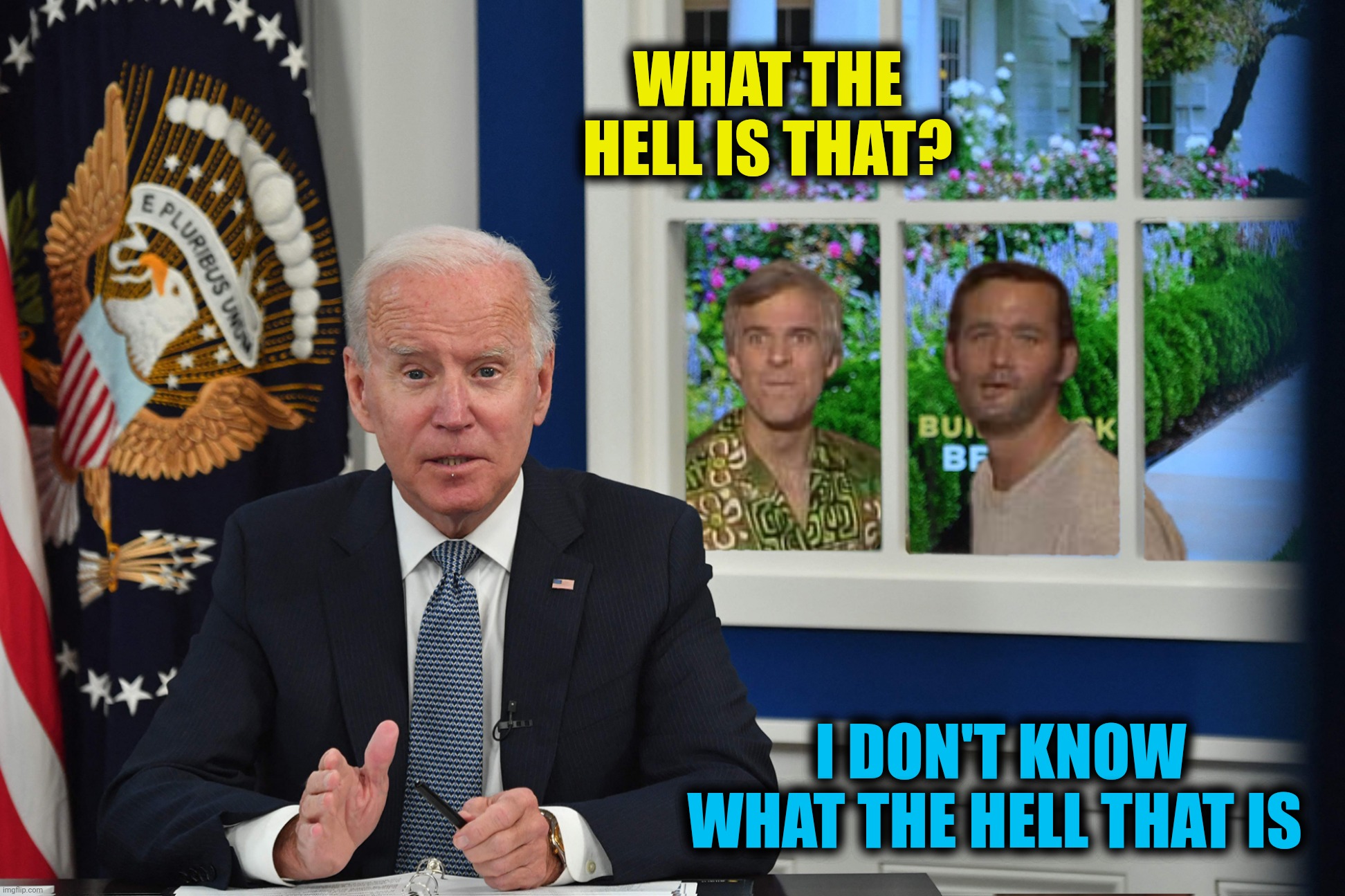 WHAT THE HELL IS THAT? I DON'T KNOW WHAT THE HELL THAT IS | made w/ Imgflip meme maker