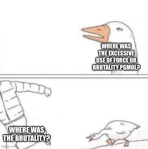 Goose Chase | WHERE WAS THE EXCESSIVE USE OF FORCE OR BRUTALITY PGMOL? WHERE WAS THE BRUTALITY? | image tagged in goose chase | made w/ Imgflip meme maker