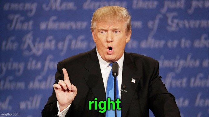 Donald Trump Wrong | right | image tagged in donald trump wrong | made w/ Imgflip meme maker