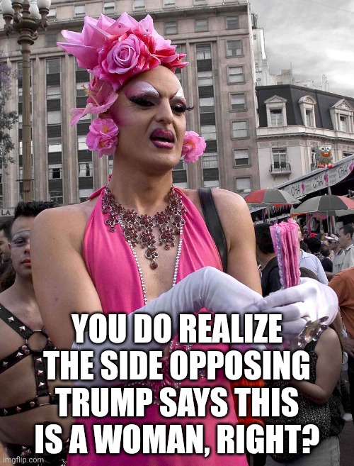 tranny | YOU DO REALIZE THE SIDE OPPOSING TRUMP SAYS THIS IS A WOMAN, RIGHT? | image tagged in tranny | made w/ Imgflip meme maker