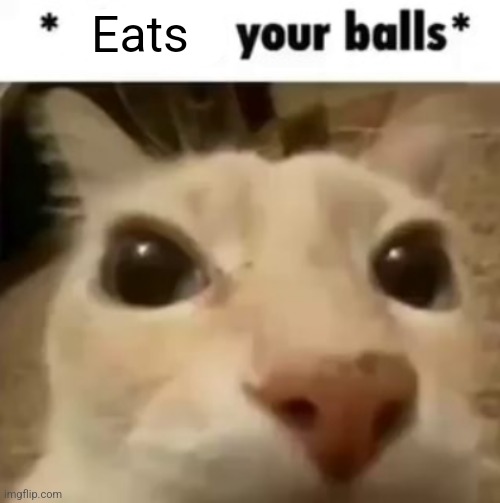 X your balls | Eats | image tagged in x your balls | made w/ Imgflip meme maker