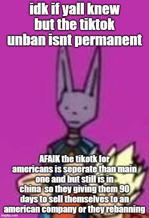 Ditto Beerus | idk if yall knew but the tiktok unban isnt permanent; AFAIK the tikotk for americans is seperate than main one and but still is in china  so they giving them 90 days to sell themselves to an american company or they rebanning | image tagged in ditto beerus | made w/ Imgflip meme maker