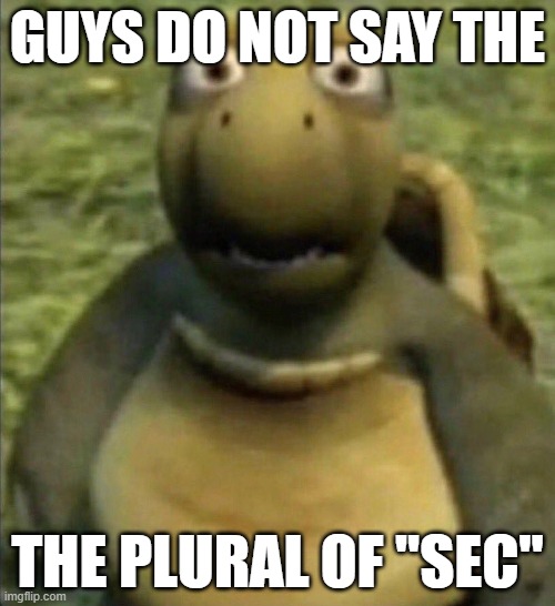 shocked turtle | GUYS DO NOT SAY THE; THE PLURAL OF "SEC" | image tagged in shocked turtle | made w/ Imgflip meme maker