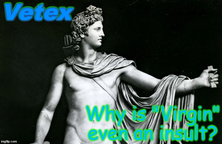 Vetex | Why is "Virgin" even an insult? | image tagged in vetex | made w/ Imgflip meme maker