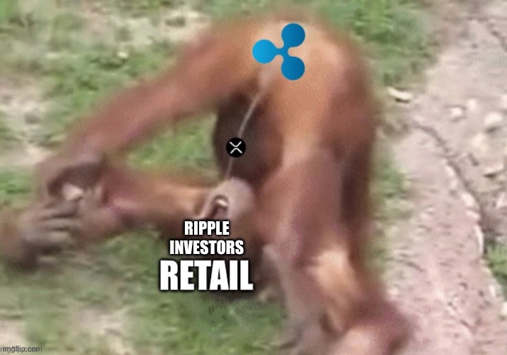 XRP | RIPPLE INVESTORS | image tagged in xrp | made w/ Imgflip meme maker