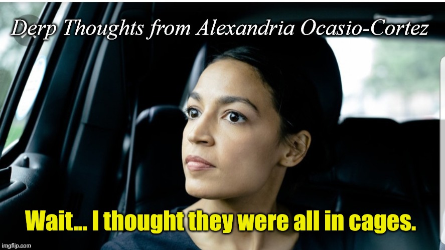 Derp Thoughts from AOC | Wait... I thought they were all in cages. | image tagged in derp thoughts from aoc | made w/ Imgflip meme maker