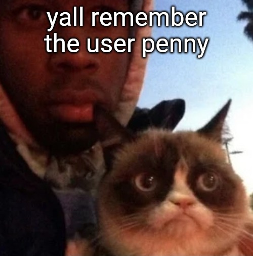 tyler the creator and grumpy cat | yall remember the user penny | image tagged in tyler the creator and grumpy cat | made w/ Imgflip meme maker