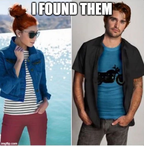 did it | I FOUND THEM | image tagged in memes | made w/ Imgflip meme maker