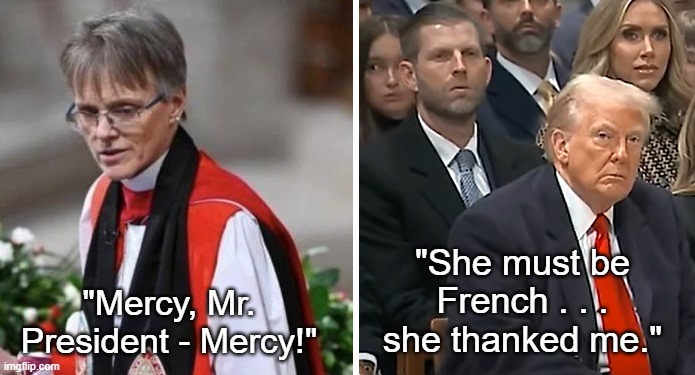 French Bishop? | "She must be French . . . she thanked me."; "Mercy, Mr. President - Mercy!" | image tagged in mariann budde,donald trump,mercy,merci,i hate donald trump,trump sucks | made w/ Imgflip meme maker