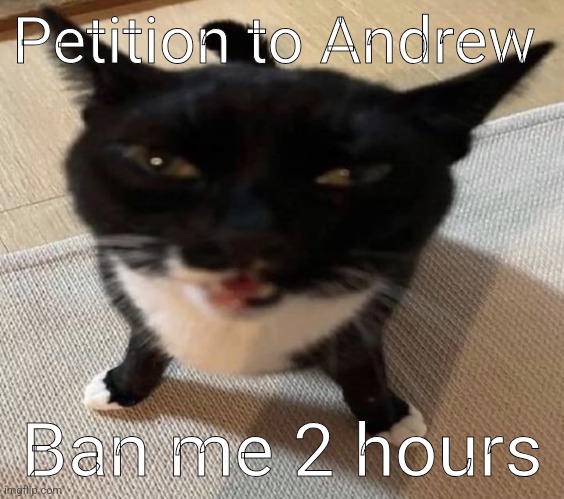 Cat of anger | Petition to Andrew; Ban me 2 hours | image tagged in cat of anger | made w/ Imgflip meme maker