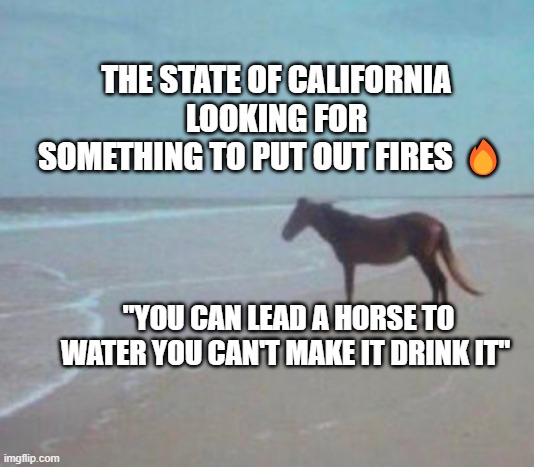 Man Horse Water | THE STATE OF CALIFORNIA LOOKING FOR SOMETHING TO PUT OUT FIRES 🔥; "YOU CAN LEAD A HORSE TO WATER YOU CAN'T MAKE IT DRINK IT" | image tagged in man horse water | made w/ Imgflip meme maker