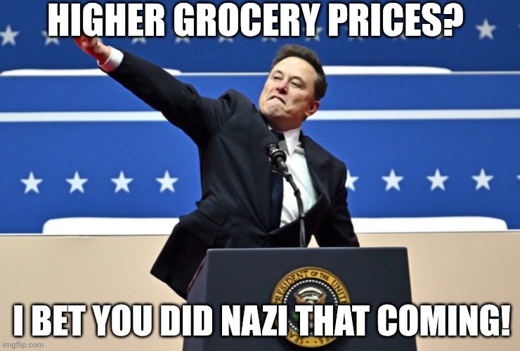 Nazi Elon | HIGHER GROCERY PRICES? I BET YOU DID NAZI THAT COMING! | image tagged in nazi elon | made w/ Imgflip meme maker