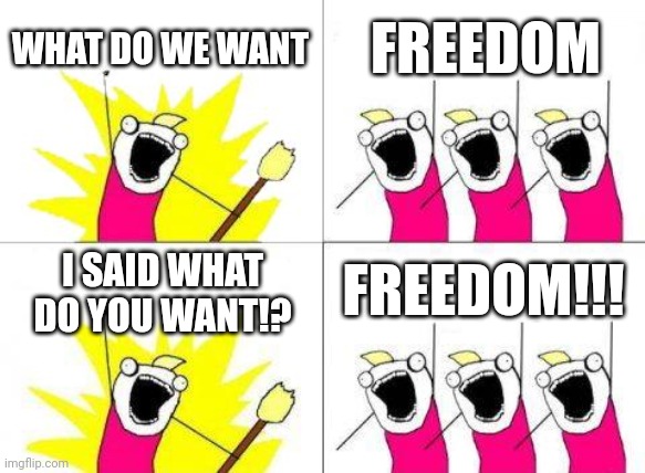 THIS IS AMERICA.. | WHAT DO WE WANT; FREEDOM; FREEDOM!!! I SAID WHAT DO YOU WANT!? | image tagged in memes,what do we want | made w/ Imgflip meme maker