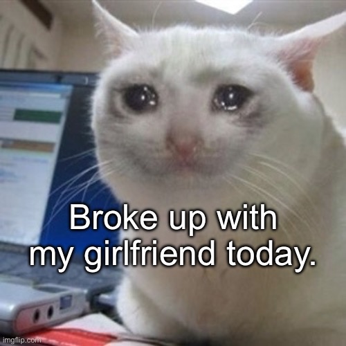 Crying cat | Broke up with my girlfriend today. | image tagged in crying cat | made w/ Imgflip meme maker