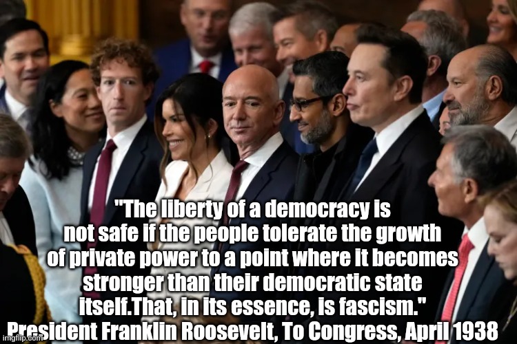 "The liberty of a democracy is not safe if the people tolerate the growth
of private power to a point where it becomes stronger than their democratic state itself.That, in its essence, is fascism."
President Franklin Roosevelt, To Congress, April 1938 | made w/ Imgflip meme maker