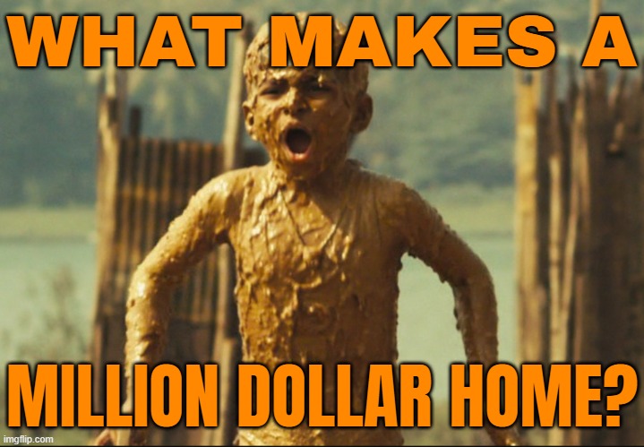 What Makes A Million Dollar Home? | WHAT MAKES A; MILLION DOLLAR HOME? | image tagged in slumdog millionaire,capitalism,communism and capitalism,india,poverty,inequality | made w/ Imgflip meme maker