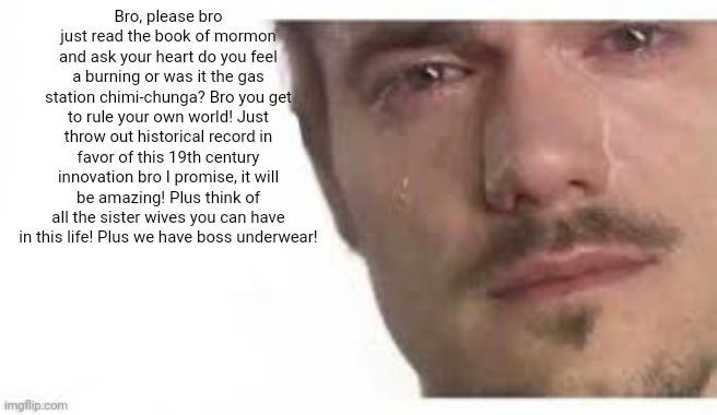 Mormon chimichunga | Bro, please bro just read the book of mormon and ask your heart do you feel a burning or was it the gas station chimi-chunga? Bro you get to rule your own world! Just throw out historical record in favor of this 19th century innovation bro I promise, it will be amazing! Plus think of all the sister wives you can have in this life! Plus we have boss underwear! | image tagged in bro please bro | made w/ Imgflip meme maker