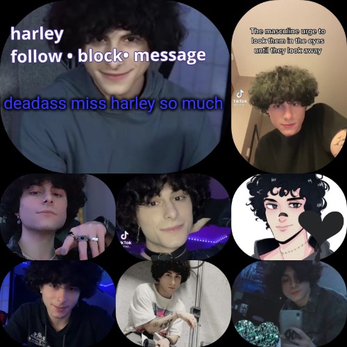 arnyyyyy | deadass miss harley so much | image tagged in arnyyyyy | made w/ Imgflip meme maker