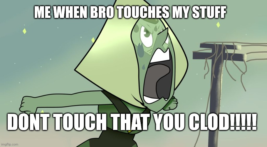 You clod SU | ME WHEN BRO TOUCHES MY STUFF; DONT TOUCH THAT YOU CLOD!!!!! | image tagged in you clod su | made w/ Imgflip meme maker