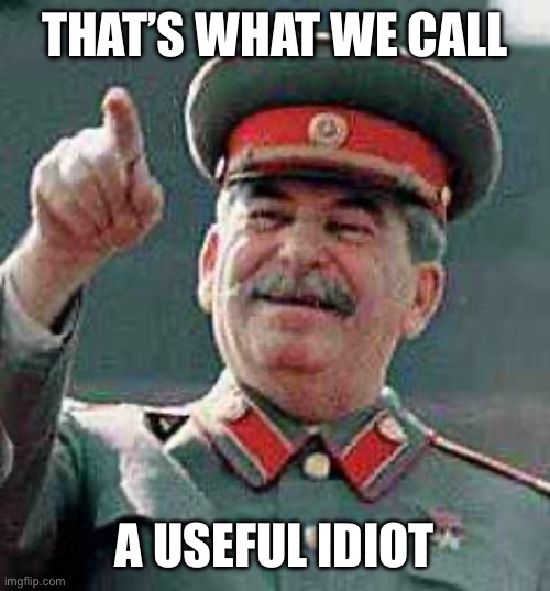 Stalin says | THAT’S WHAT WE CALL A USEFUL IDIOT | image tagged in stalin says | made w/ Imgflip meme maker