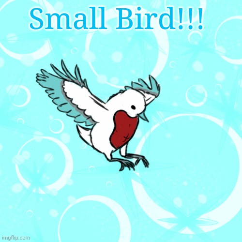 Small Bird!!! I like how this goober turned out | Small Bird!!! | made w/ Imgflip meme maker