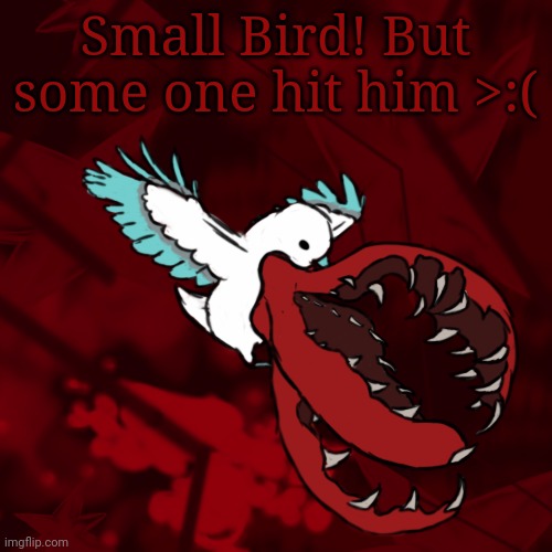 Who made him mad???!!? | Small Bird! But some one hit him >:( | made w/ Imgflip meme maker