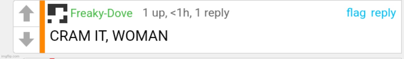 made w/ Imgflip meme maker