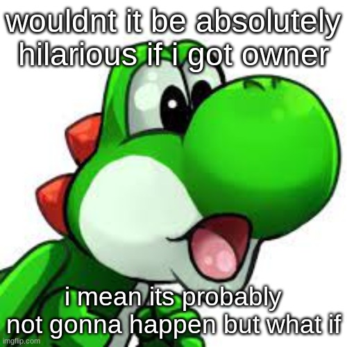 yoshi pog | wouldnt it be absolutely hilarious if i got owner; i mean its probably not gonna happen but what if | image tagged in yoshi pog | made w/ Imgflip meme maker