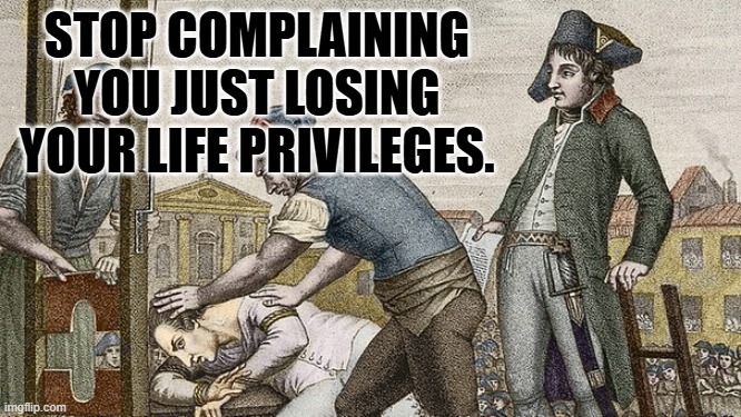 Guillotine this | STOP COMPLAINING
YOU JUST LOSING YOUR LIFE PRIVILEGES. | image tagged in guillotine this | made w/ Imgflip meme maker