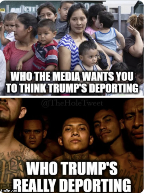 According to libs... criminal gangs are families | image tagged in trump,deporting,illegal alien criminals | made w/ Imgflip meme maker