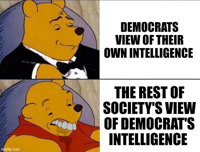 Tuxedo Winnie the Pooh grossed reverse | DEMOCRATS VIEW OF THEIR OWN INTELLIGENCE THE REST OF SOCIETY'S VIEW OF DEMOCRAT'S INTELLIGENCE | image tagged in tuxedo winnie the pooh grossed reverse | made w/ Imgflip meme maker