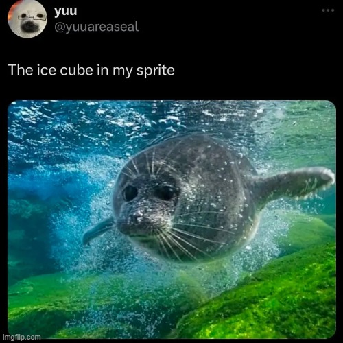 seals r so goated | made w/ Imgflip meme maker