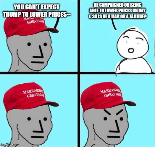 MAGA NPC (AN AN0NYM0US TEMPLATE) | YOU CAN'T EXPECT TRUMP TO LOWER PRICES-- HE CAMPAIGNED ON BEING ABLE TO LOWER PRICES ON DAY 1. SO IS HE A LIAR OR A FAILURE? | image tagged in maga npc an an0nym0us template | made w/ Imgflip meme maker