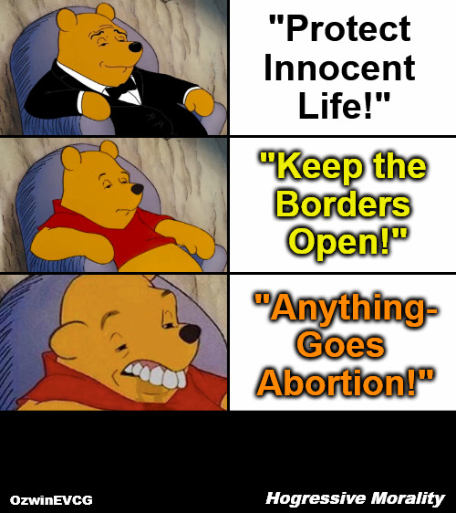 [V2] Hogressive Morality [V2] | "Protect 

Innocent 

Life!"; "Keep the 

Borders 

Open!"; "Anything-

Goes 

Abortion!"; Hogressive Morality; OzwinEVCG | image tagged in best to worst winnie the pooh meme,say what,liberal logic,clown world,invasion of the mind snatchers,life in 2020s | made w/ Imgflip meme maker