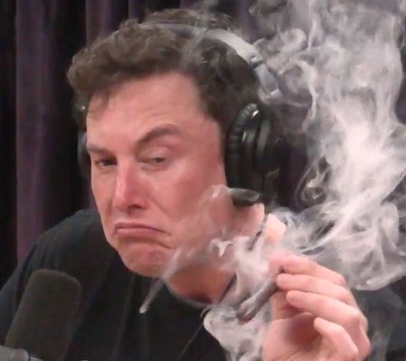 Highlon musk Blank Meme Template