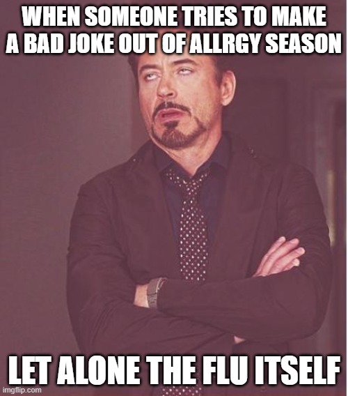 Why can't people just accept the fact we've all been sick this month | WHEN SOMEONE TRIES TO MAKE A BAD JOKE OUT OF ALLRGY SEASON; LET ALONE THE FLU ITSELF | image tagged in memes,face you make robert downey jr,assholes,flu,sickness,allergy season | made w/ Imgflip meme maker