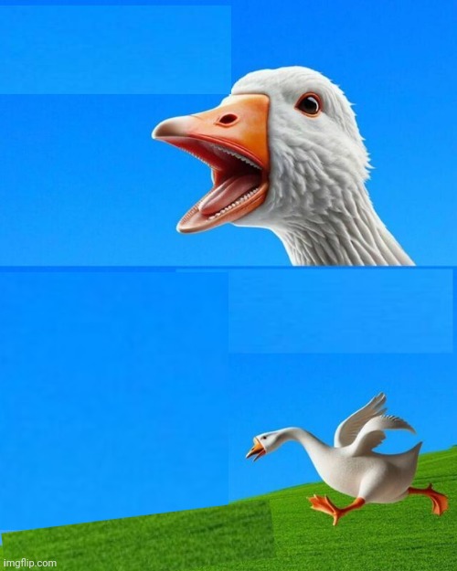 Angry Goose template Blank Meme Template