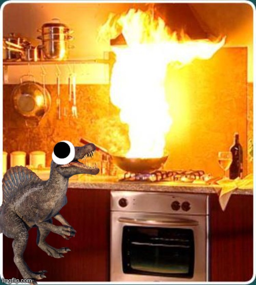 GUYS THERES A FIRE HELP | image tagged in fire kitchen | made w/ Imgflip meme maker