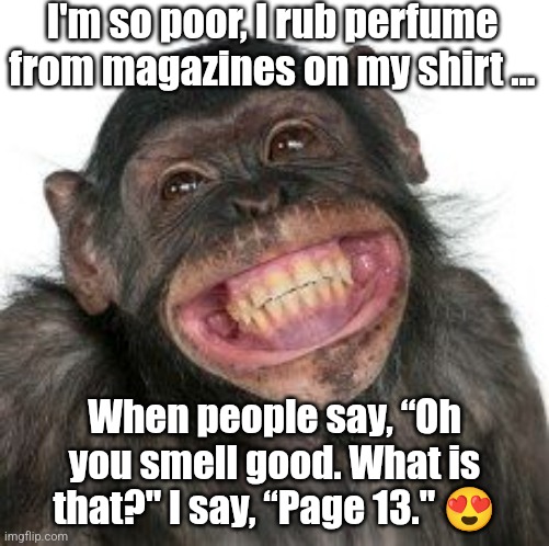 Monkey Lol | I'm so poor, I rub perfume from magazines on my shirt ... When people say, “Oh you smell good. What is that?" I say, “Page 13." 😍 | image tagged in grinning chimp,monkey,funny animals,funny,lol | made w/ Imgflip meme maker