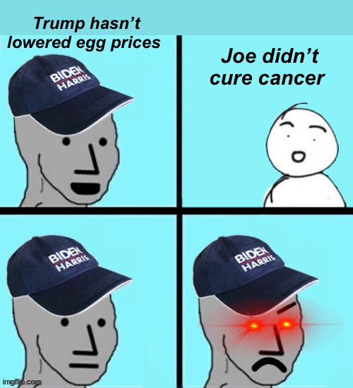 Lib egg obsession | Joe didn’t cure cancer; Trump hasn’t lowered egg prices | image tagged in blue hat npc,politics lol,memes | made w/ Imgflip meme maker