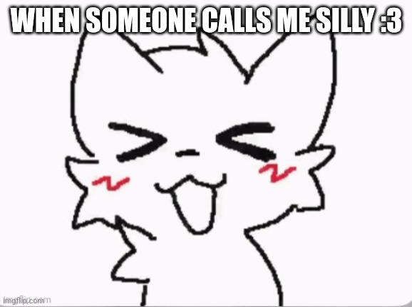 wut a Happi Boi ! | WHEN SOMEONE CALLS ME SILLY :3 | image tagged in wut a happi boi | made w/ Imgflip meme maker