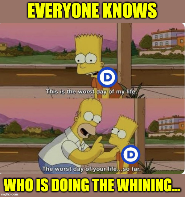 EVERYONE KNOWS WHO IS DOING THE WHINING... | made w/ Imgflip meme maker