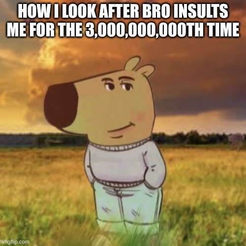 Chill guy | HOW I LOOK AFTER BRO INSULTS ME FOR THE 3,000,000,000TH TIME | image tagged in chill guy | made w/ Imgflip meme maker