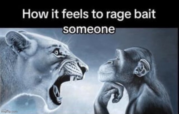 image tagged in how it feels to rage bait someone | made w/ Imgflip meme maker